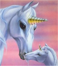 Unicorn! Unicorn!