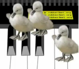 Sinister Ducks Sinister Ducks