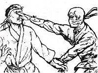 Ninjutsu Ninjutsu