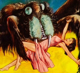 Tarantula Tarantula