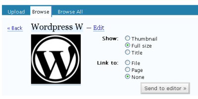 Uploading images in WordPress
