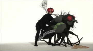 green-porno-fly