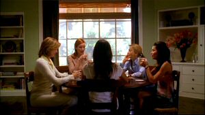 Cast of Desperate Housewives: The Complete First Season Cast of Desperate Housewives: The Complete First Season