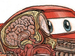 Lightning McQueen Anatomical by Jake Parker Lightning McQueen Anatomical by Jake Parker