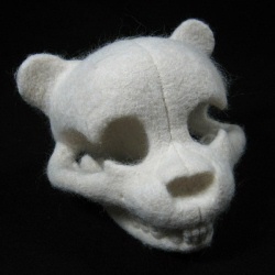 Teddy skull! Teddy skull!