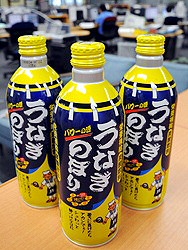 Unagi Nobori: Surging Eel Unagi Nobori: Surging Eel