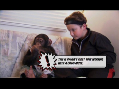 Paulie Litt's first time working with a chimpanzee Paulie Litt's first time working with a chimpanzee