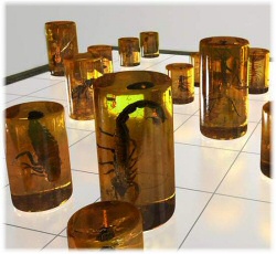 Amorphous Organic Chess Set by Alastair Mackie Amorphous Organic Chess Set by Alastair Mackie