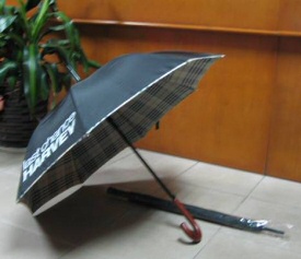 Last Chance Harvey umbrella Last Chance Harvey umbrella