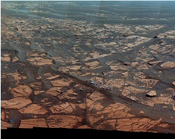 Space! Brownies! Space! Brownies!