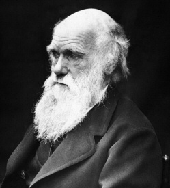 Chuck Darwin Chuck Darwin