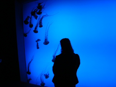 Cosette with jellyfish Cosette with jellyfish