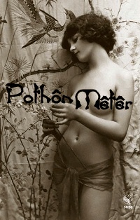 black phoenix pothon meter