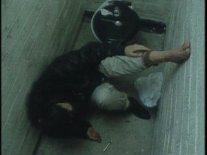 Julia Ormond in Traffik