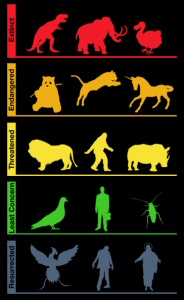 Conservation Status from Threadless