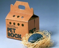 Pet Rock Pet Rock
