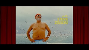 Bill Murray as Steve Zissou in The Life Aquatic Bill Murray as Steve Zissou in The Life Aquatic