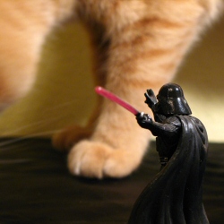 Meow Wars Meow Wars