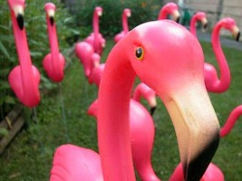 plastic pink flamingo plastic pink flamingo
