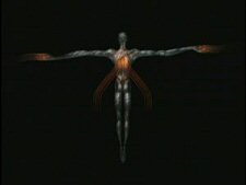 Tool: Salival DVD Tool: Salival DVD