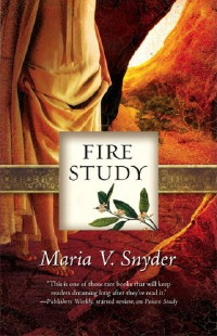 Fire Study Book Fire Study Book