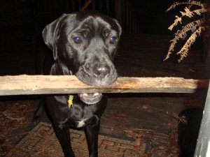 Kora with her Trophy