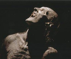 Daybreakers Subsider Daybreakers Subsider