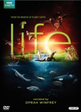 Life DVD Cover Art