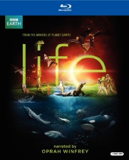 Life Blu-ray Cover Art Life Blu-ray Cover Art