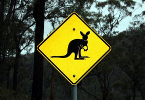 Rock Wallaby Sign