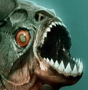 Piranha 3D Piranha 3D