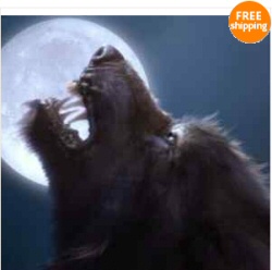 Werewolf spell Werewolf spell