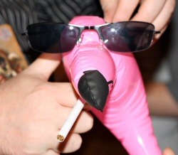 Doc Ezra flamingo Doc Ezra flamingo