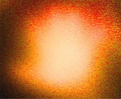 Orange Lights Orange Lights