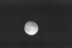 Moon Moon