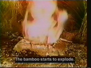 Doctor Who: Marco Polo: The bamboo starts to explode. Doctor Who: Marco Polo: The bamboo starts to explode.