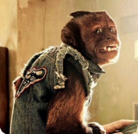The monkey from The Hangover Part II The monkey from The Hangover Part II