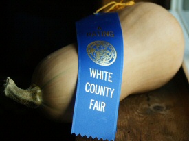 Prize-winning squash Prize-winning squash
