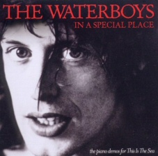 Waterboys: In a Special Place Waterboys: In a Special Place