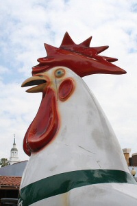 Knott's Chicken Knott's Chicken
