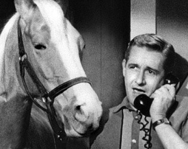 Mister Ed Mister Ed