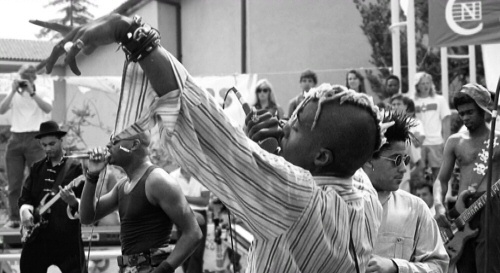 Fishbone: Everyday Sunshine Fishbone: Everyday Sunshine