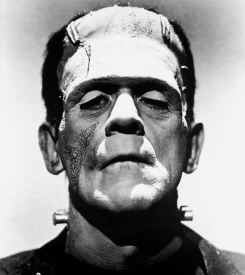 Boris Karloff as Frankenstein's Monster Boris Karloff as Frankenstein's Monster