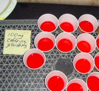 Caffeinated Jell-O shots Caffeinated Jell-O shots