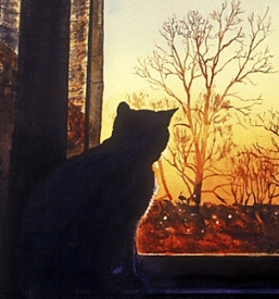 Cat in the Window Cat in the Window