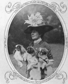 Three dogs and awesome hat! Three dogs and awesome hat!