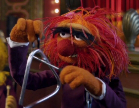 Animal in The Muppets 2011 Animal in The Muppets 2011