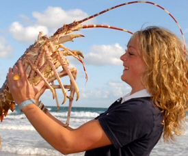 Lobstrosity Lobstrosity