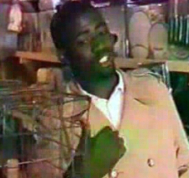 Nigerian scammers Parrot Sketch Nigerian scammers Parrot Sketch
