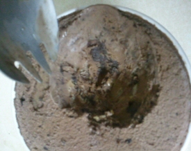 Peanut Butter World Ice Cream Peanut Butter World Ice Cream
